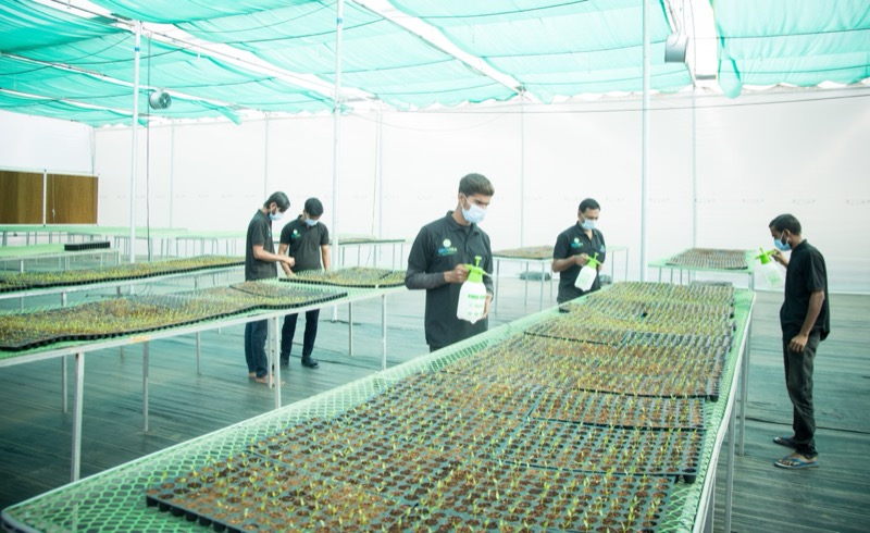 Grovera Farms pesticide residue lab testing 250 compounds food safety